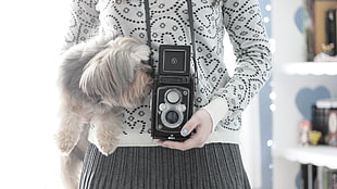 person carrying vintage camera and gray and tan Havanese